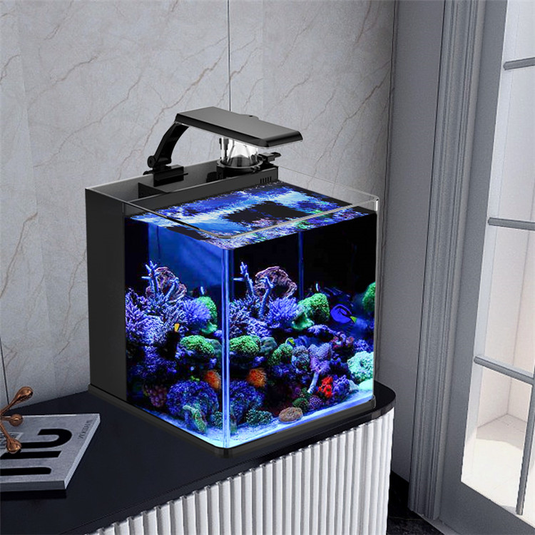 Marine Aquarium In Clearwater - skynuo Ultra Clear Glass Mini Salt