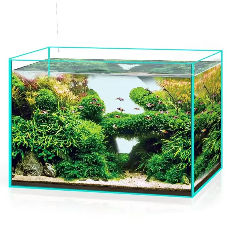 Marine Aquarium In Clearwater - Ultra Clear Glass Aquarium Fish Tank