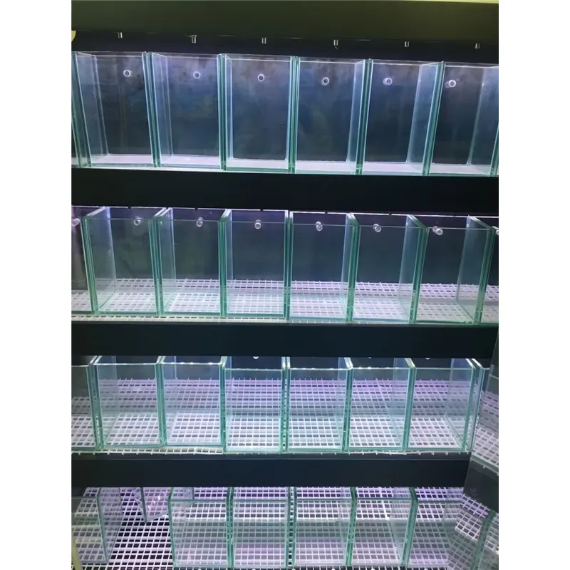 Ultra Clear Glass Aquarium Fis - Marine Aquarium In Clearwater ulasan dan harga