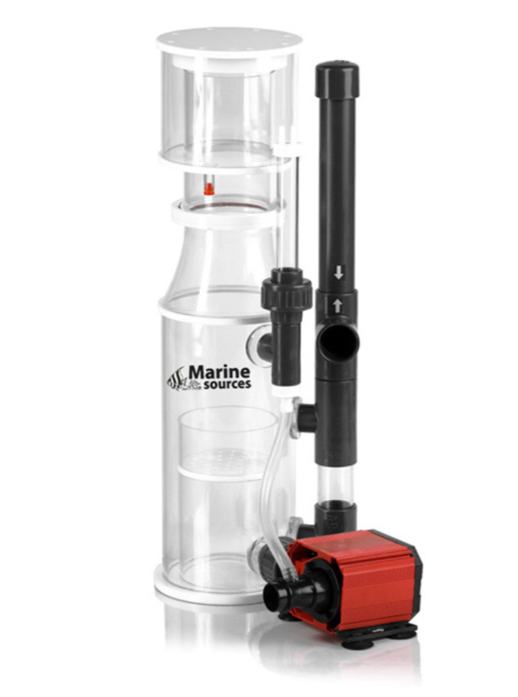 Marine Sources Red Devil SDP S - Marine Aquarium Youtube ulasan dan harga