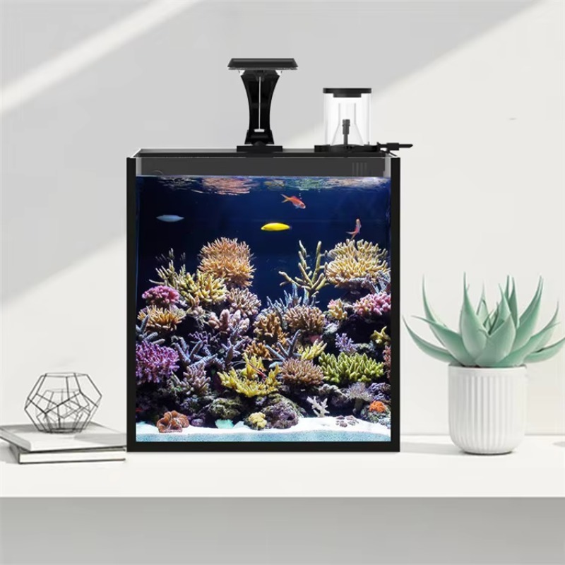 Ultra Clear Glass Mini Salt Wa - Marine Aquarium In Clearwater ulasan dan harga