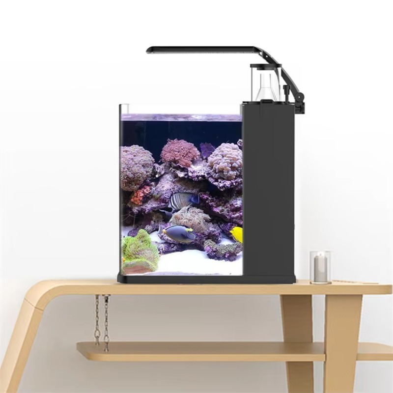 Ultra Clear Glass Mini Salt Wa - Marine Aquarium In Clearwater ulasan dan harga