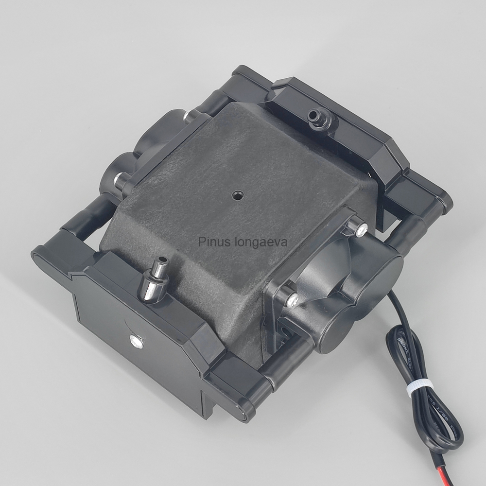 Pinus Longaeva 30L/min 30kPa L - Marine Aquarium Ozone Generator ulasan dan harga