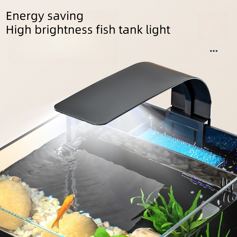 Ultra Clear Glass Luxury Mini  - Marine Aquarium In Clearwater ulasan dan harga