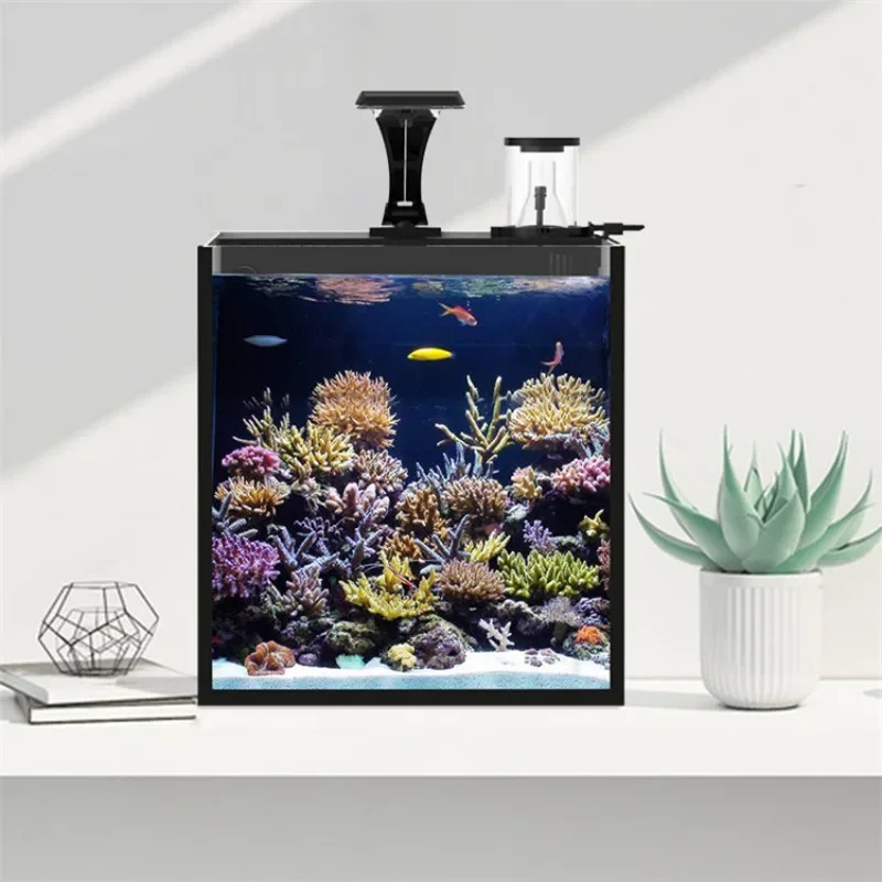 Hot sales Ultra Clear Glass Mi - Marine Aquarium In Clearwater ulasan dan harga