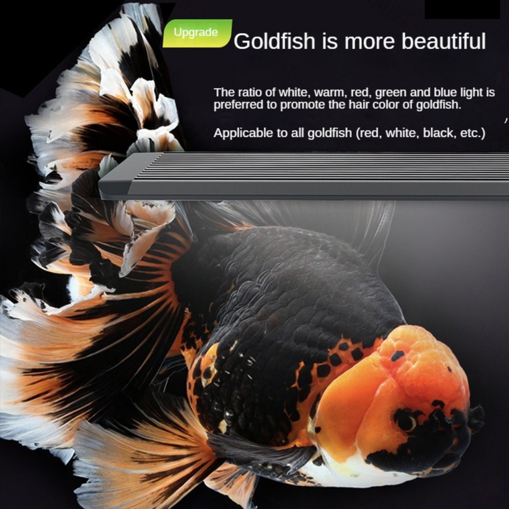 Aquarium Light With Optical Le - Marine Aquarium In Clearwater ulasan dan harga