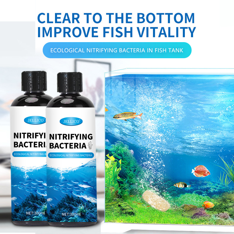 300ml Nitrifying Bacteria Aqua - Marine Aquarium In Clearwater ulasan dan harga