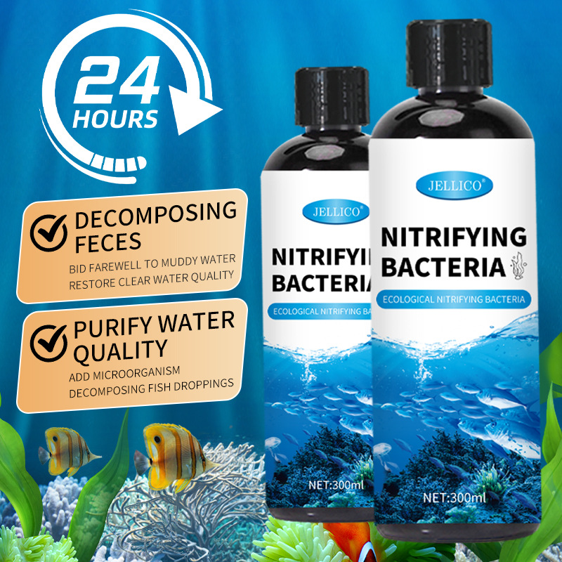300ml Nitrifying Bacteria Aqua - Marine Aquarium In Clearwater ulasan dan harga