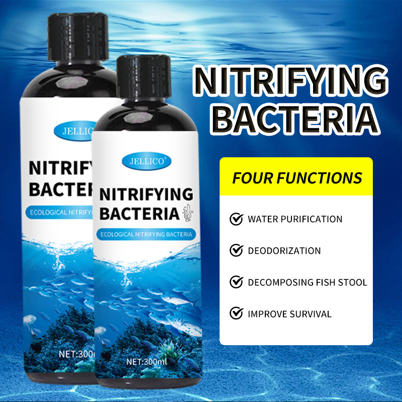 300ml Nitrifying Bacteria Aqua - Marine Aquarium In Clearwater ulasan dan harga