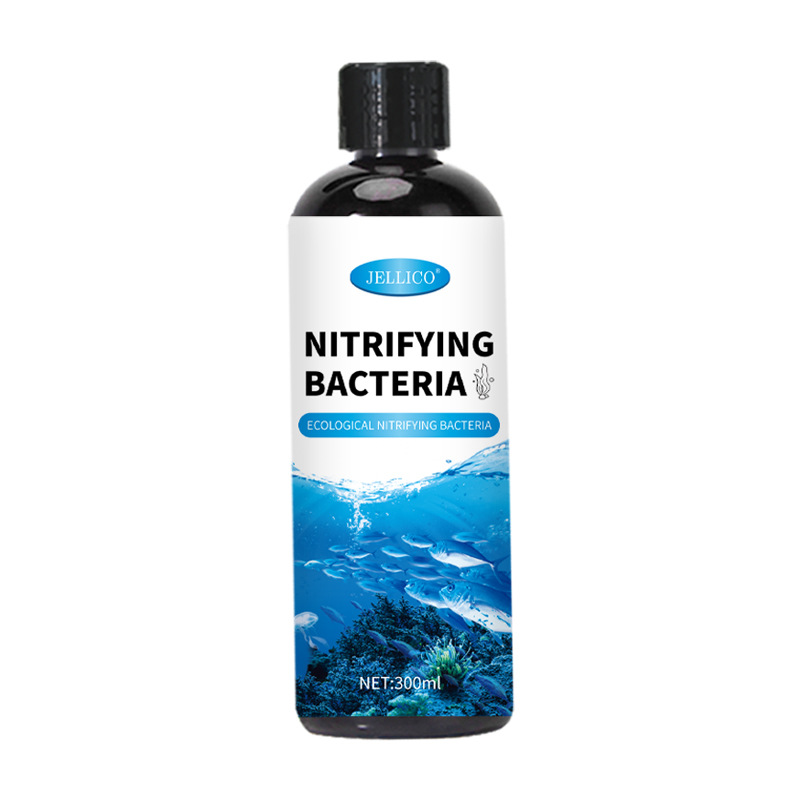 300ml Nitrifying Bacteria Aqua - Marine Aquarium In Clearwater ulasan dan harga