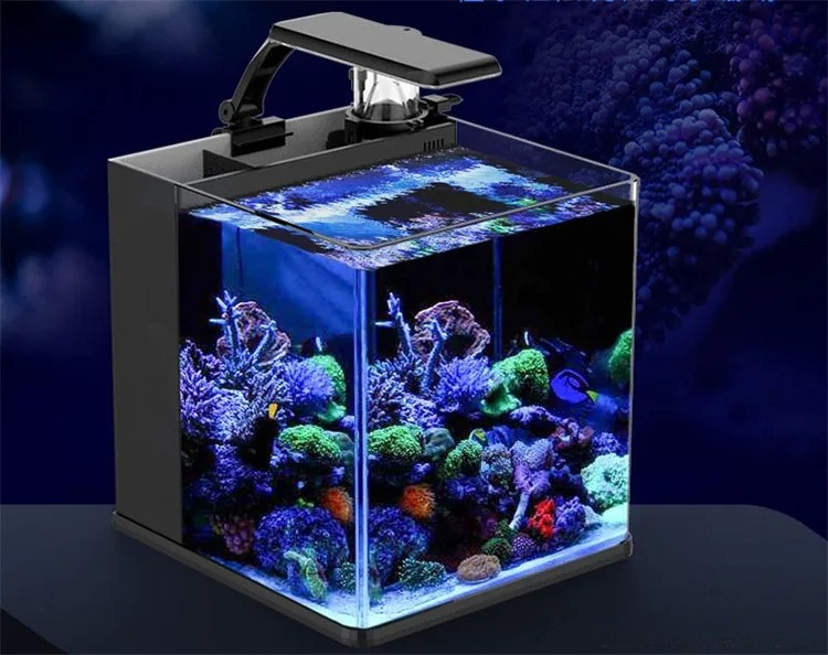 Ultra Clear Glass Mini Salt Wa - Marine Aquarium In Clearwater ulasan dan harga